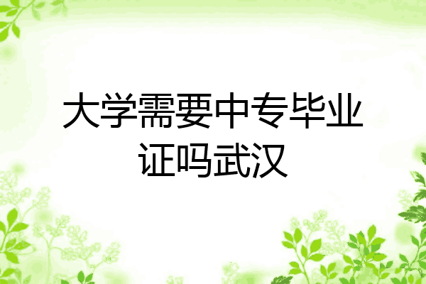 大学需要中专毕业证吗武汉