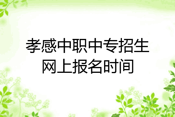 孝感中职中专招生网上报名时间