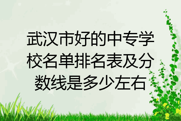 武汉市好的中专学校名单排名表及分数线是多少左右