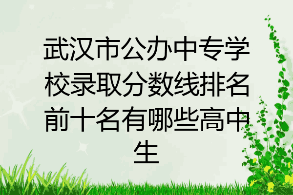 武汉市公办中专学校录取分数线排名前十名有哪些高中生