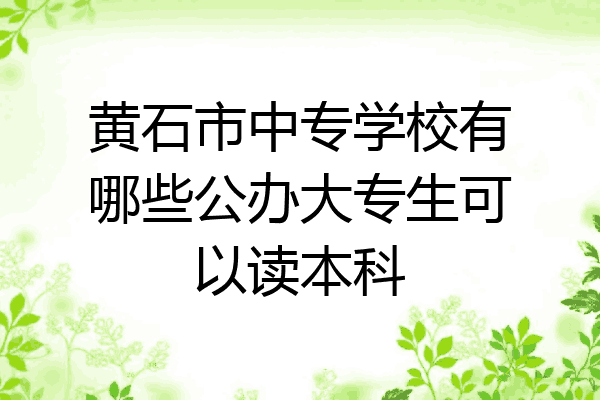 黄石市中专学校有哪些公办大专生可以读本科