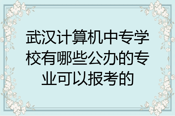 武汉计算机中专学校有哪些公办的专业可以报考的