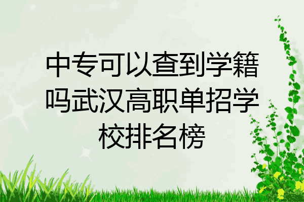 中专可以查到学籍吗武汉高职单招学校排名榜
