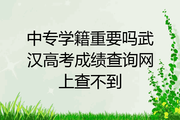 中专学籍重要吗武汉高考成绩查询网上查不到