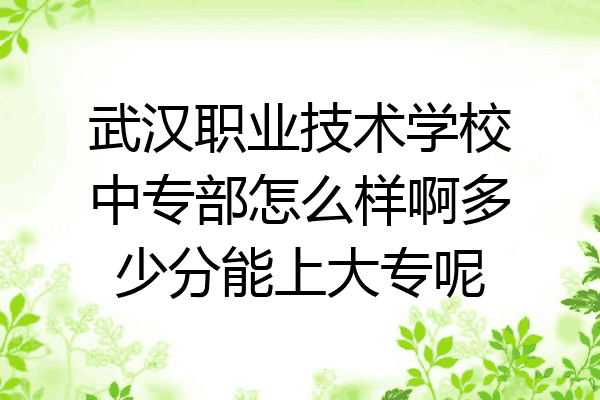 武汉职业技术学校中专部怎么样啊多少分能上大专呢