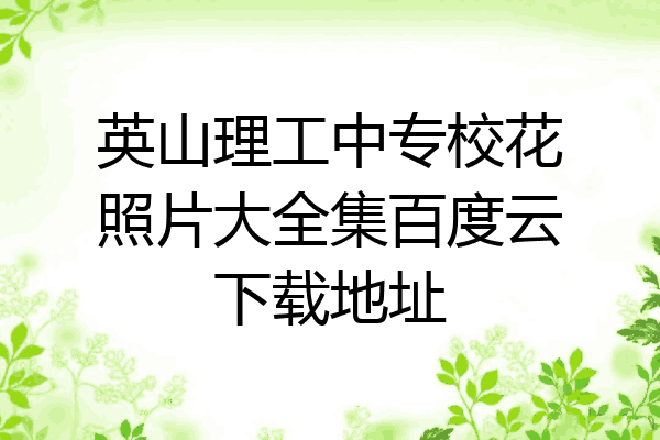 英山理工中专校花照片大全集百度云下载地址