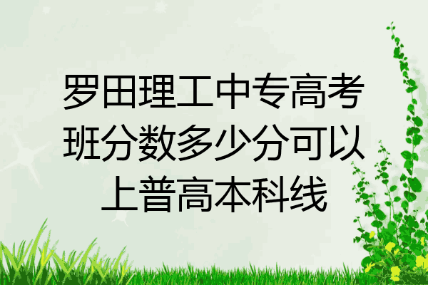 罗田理工中专高考班分数多少分可以上普高本科线