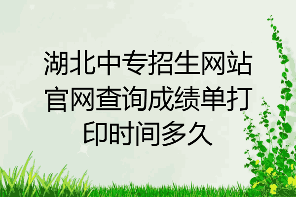 湖北中专招生网站官网查询成绩单打印时间多久