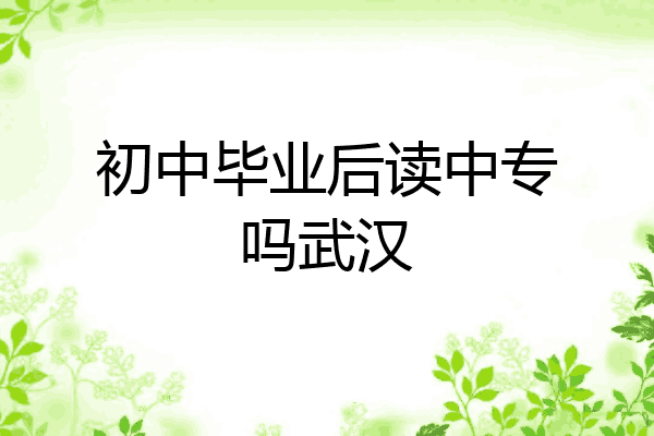 初中毕业后读中专吗武汉