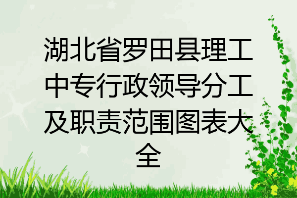 湖北省罗田县理工中专行政领导分工及职责范围图表大全