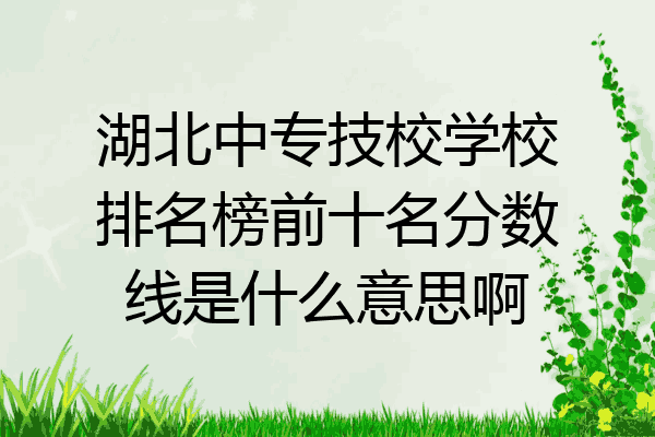 湖北中专技校学校排名榜前十名分数线是什么意思啊