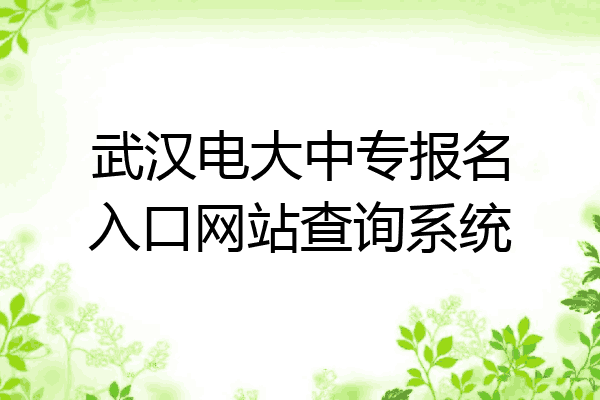 武汉电大中专报名入口网站查询系统