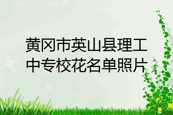 黄冈市英山县理工中专校花名单照片
