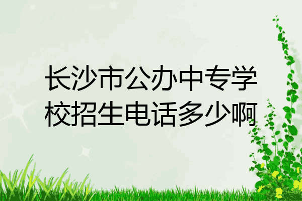 长沙市公办中专学校招生电话多少啊
