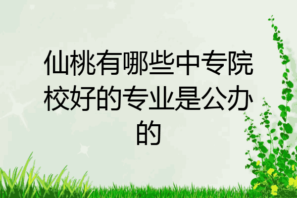仙桃有哪些中专院校好的专业是公办的