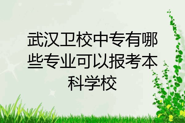 武汉卫校中专有哪些专业可以报考本科学校