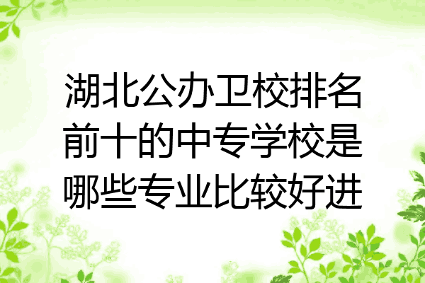 湖北公办卫校排名前十的中专学校是哪些专业比较好进