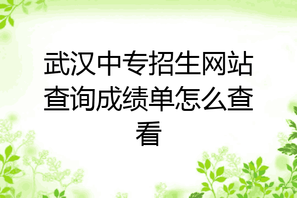 武汉中专招生网站查询成绩单怎么查看