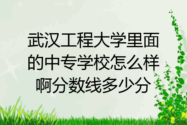 武汉工程大学里面的中专学校怎么样啊分数线多少分