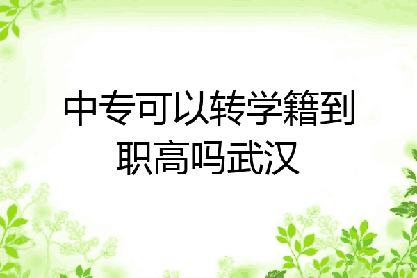 中专可以转学籍到职高吗武汉