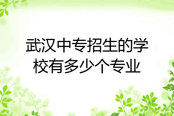 武汉中专招生的学校有多少个专业