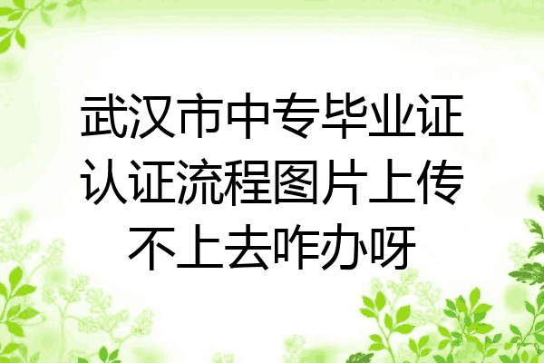 武汉市中专毕业证认证流程图片上传不上去咋办呀