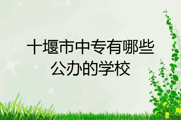 十堰市中专有哪些公办的学校