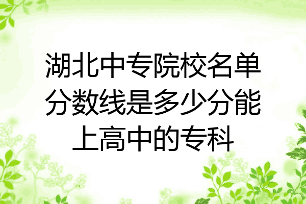 湖北中专院校名单分数线是多少分能上高中的专科