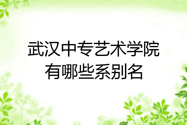 武汉中专艺术学院有哪些系别名