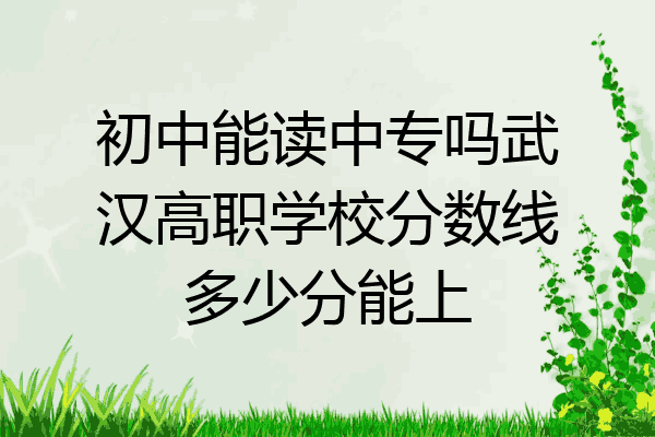 初中能读中专吗武汉高职学校分数线多少分能上