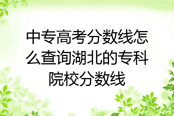 中专高考分数线怎么查询湖北的专科院校分数线