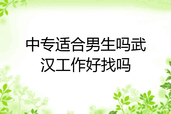 中专适合男生吗武汉工作好找吗