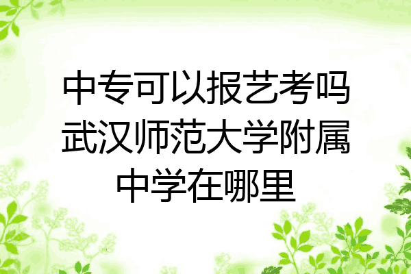 中专可以报艺考吗武汉师范大学附属中学在哪里