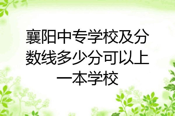 襄阳中专学校及分数线多少分可以上一本学校