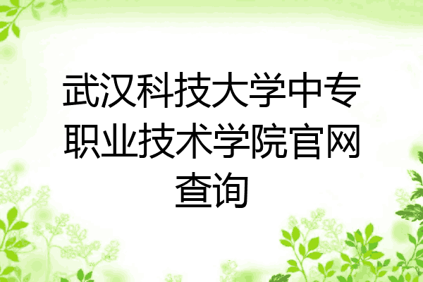 武汉科技大学中专职业技术学院官网查询
