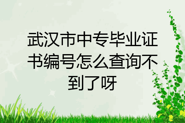 武汉市中专毕业证书编号怎么查询不到了呀