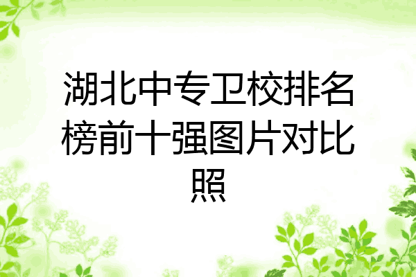 湖北中专卫校排名榜前十强图片对比照