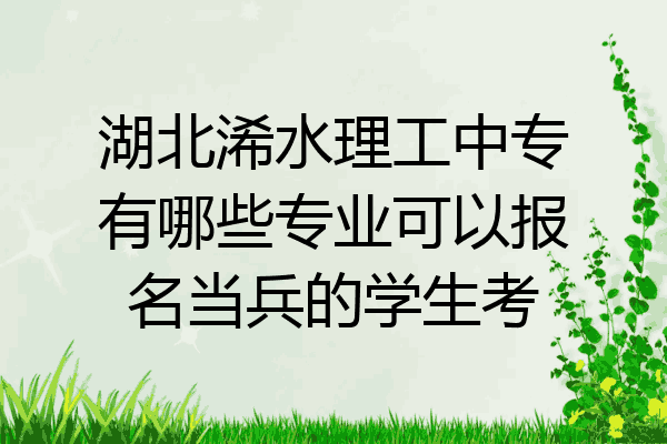 湖北浠水理工中专有哪些专业可以报名当兵的学生考