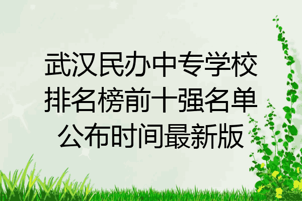 武汉民办中专学校排名榜前十强名单公布时间最新版