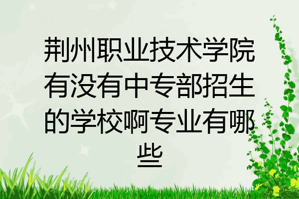 荆州职业技术学院有没有中专部招生的学校啊专业有哪些