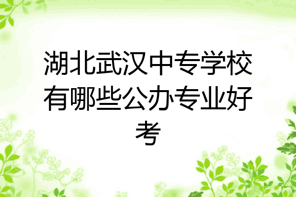 湖北武汉中专学校有哪些公办专业好考