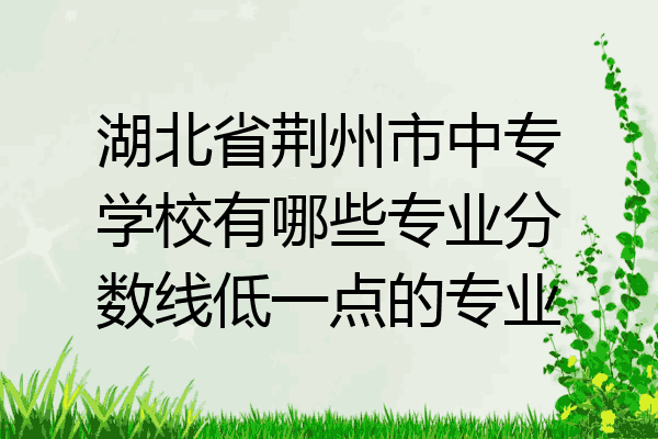 湖北省荆州市中专学校有哪些专业分数线低一点的专业
