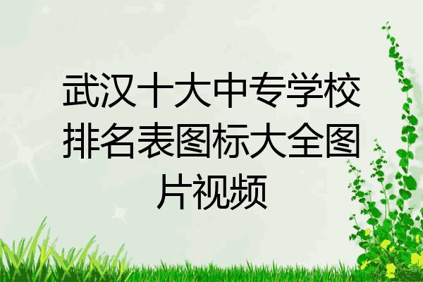 武汉十大中专学校排名表图标大全图片视频