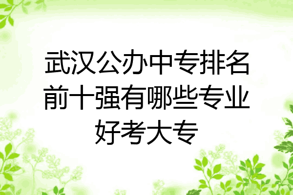 武汉公办中专排名前十强有哪些专业好考大专