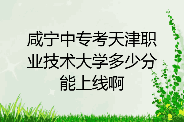 咸宁中专考天津职业技术大学多少分能上线啊