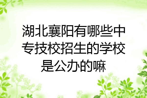 湖北襄阳有哪些中专技校招生的学校是公办的嘛