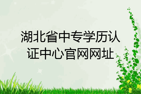 湖北省中专学历认证中心官网网址