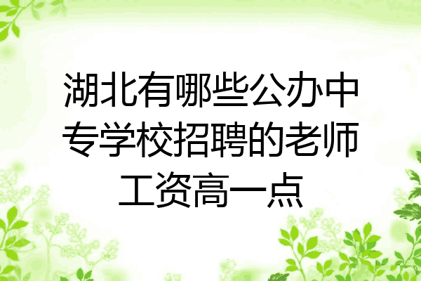 湖北有哪些公办中专学校招聘的老师工资高一点