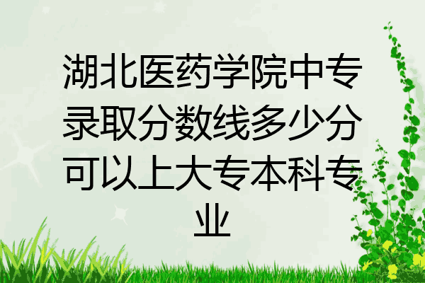 湖北医药学院中专录取分数线多少分可以上大专本科专业