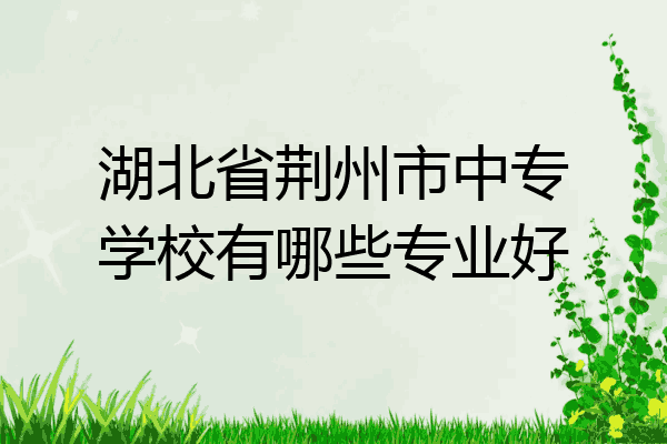 湖北省荆州市中专学校有哪些专业好